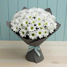 Букет цветов из:  Хризантемы #REPLACE_PRED# Усть-Калманке