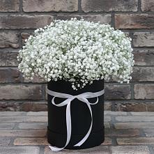 Цветочная композиция из Гипсофила в шляпной коробке в Усть-Калманке