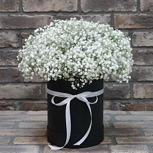 Цветочная композиция из Гипсофила в шляпной коробке в Усть-Калманке