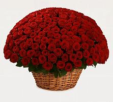 Премиум букет из: Розы в Усть-Калманке